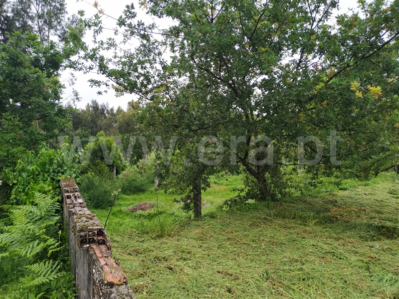 Terreno  Fafe, Travassós - 1121515 - 2