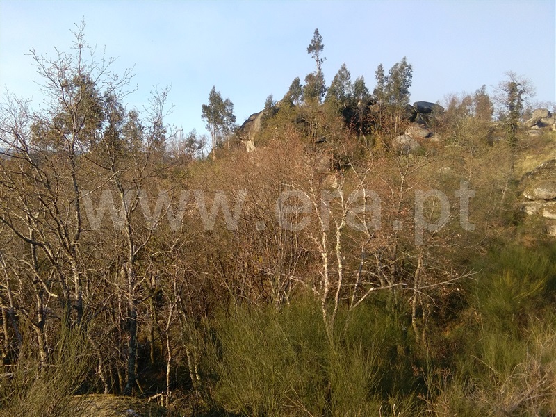 Terreno  Fafe, Travassós - 1124198 - 3