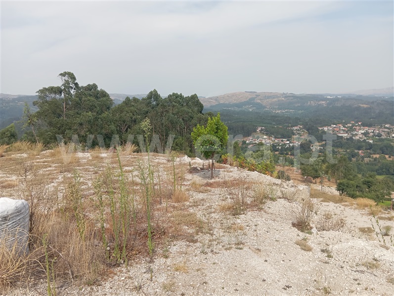 Terreno  Fafe, Travassós - 1499793 - 2