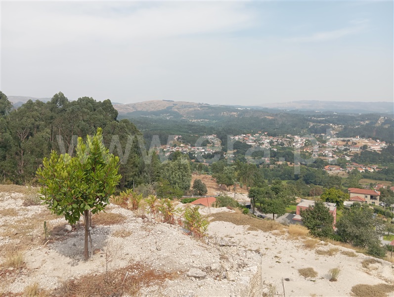 Terreno  Fafe, Travassós - 1499793 - 14