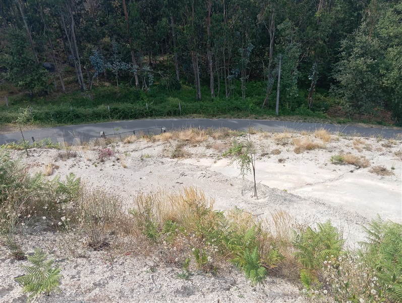 Terreno  Fafe, Travassós - 1499793 - 17