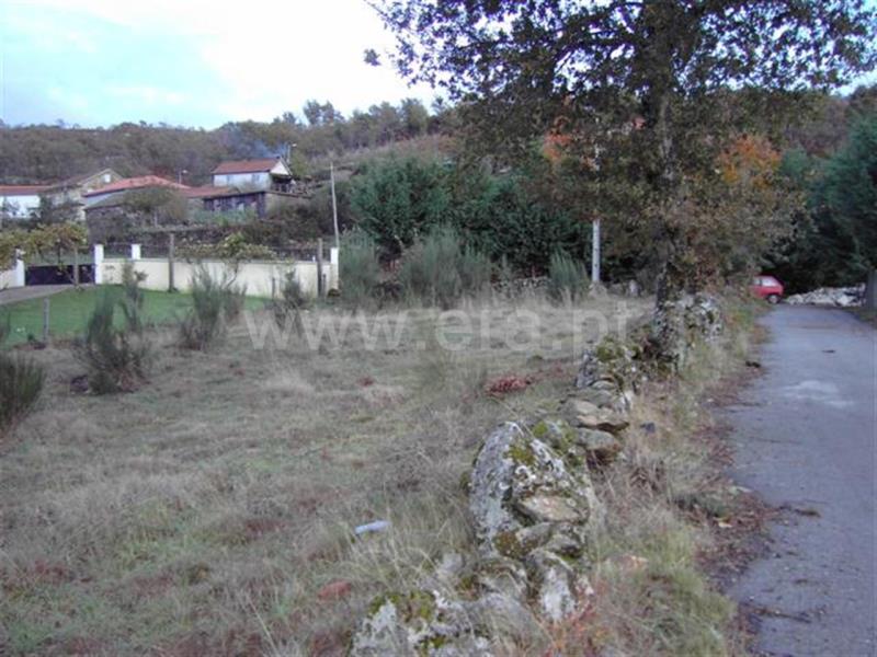 Terreno / Fafe, Travassós