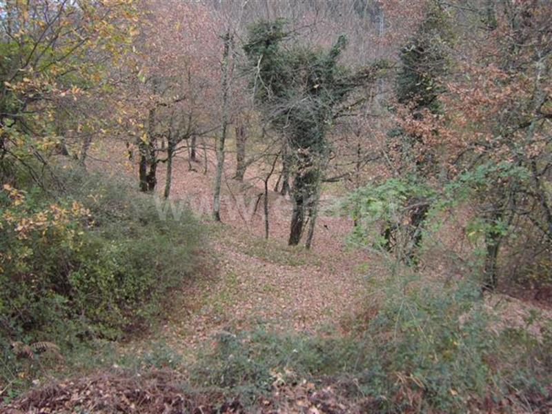 Terreno  Fafe, Travassós - 559389 - 2