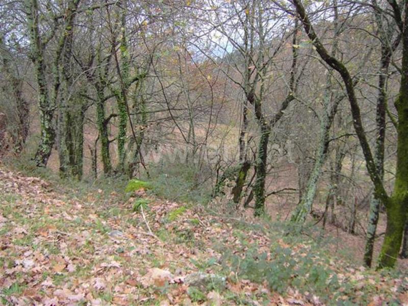 Terreno  Fafe, Travassós - 559389 - 4