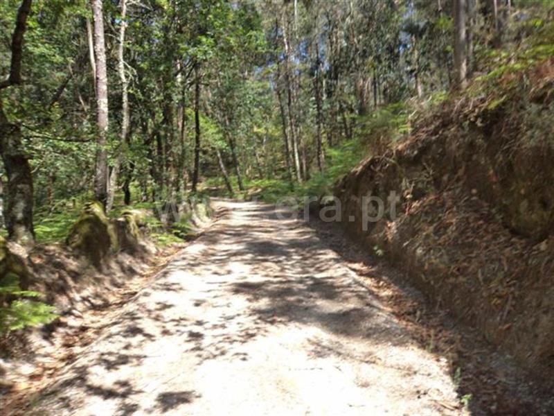 Terreno  Fafe, Travassós - 571630 - 2