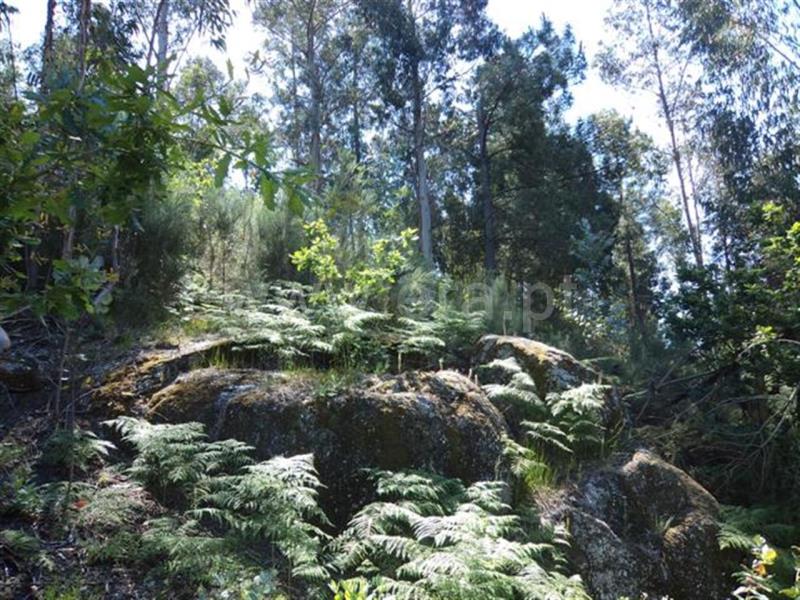 Terreno  Fafe, Travassós - 571630 - 3