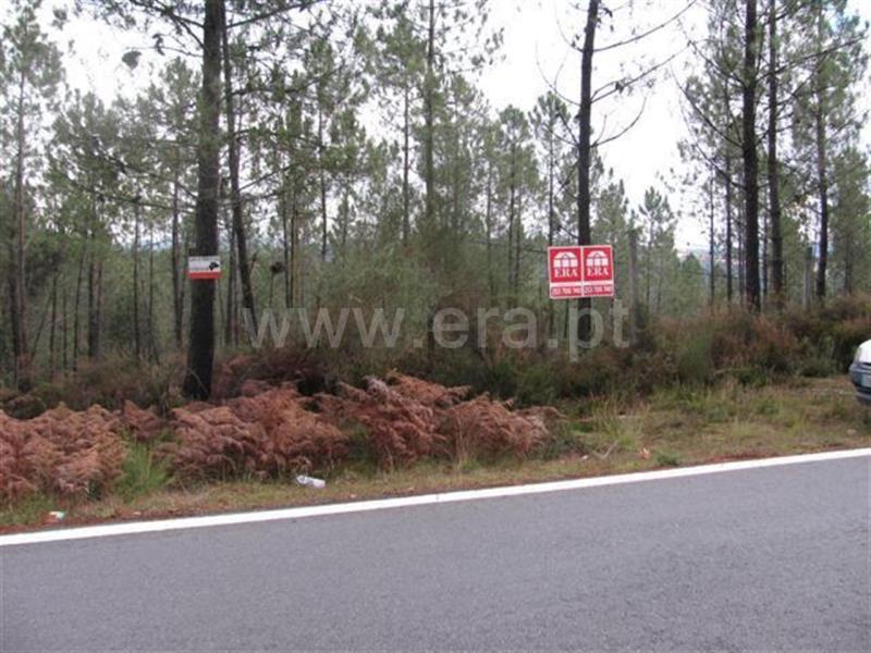 Terreno / Fafe, Travassós