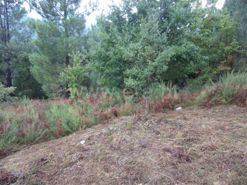 Terreno  Fafe, Travassós - 738624 - 2