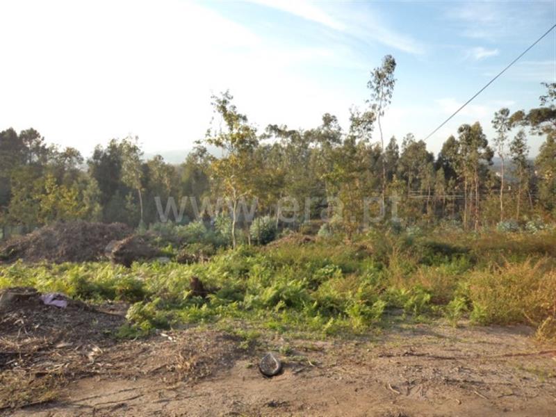 Terreno  Fafe, Travassós - 738625 - 2