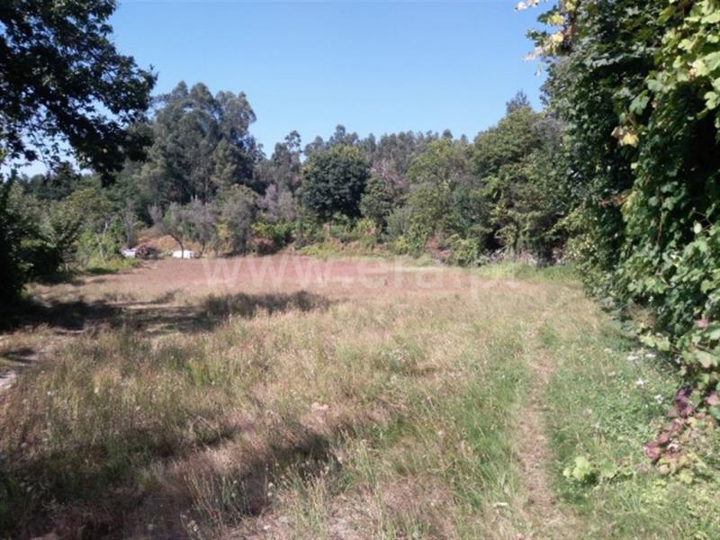 Terreno / Fafe, Travassós