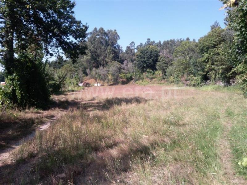 Terreno  Fafe, Travassós - 840397 - 5
