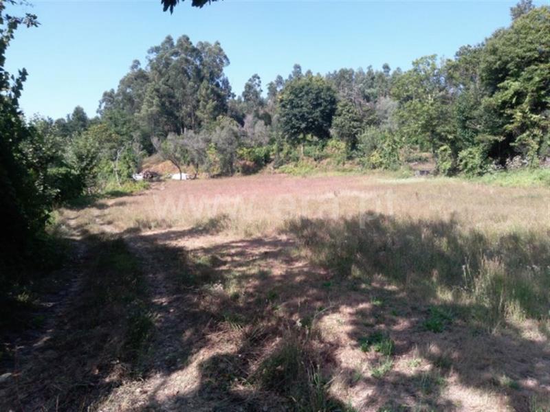 Terreno  Fafe, Travassós - 840397 - 8
