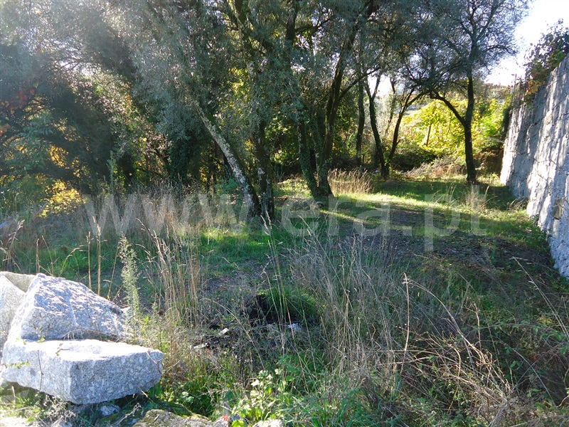 Terreno  Fafe, Travassós - 961245 - 3