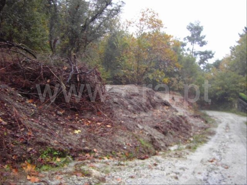Terreno / Fafe, Travassós