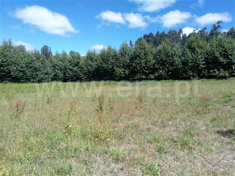 Terreno  Fafe, Vinhós - 1044411 - 2