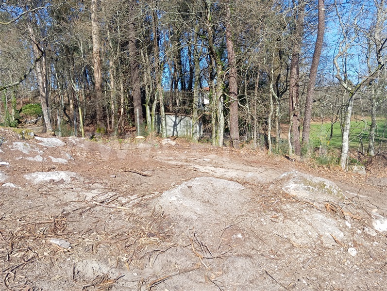 Terreno / Fafe, Vinhós
