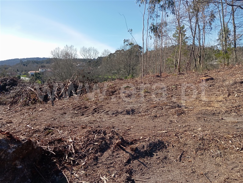 Terreno  Fafe, Vinhós - 1463710 - 5