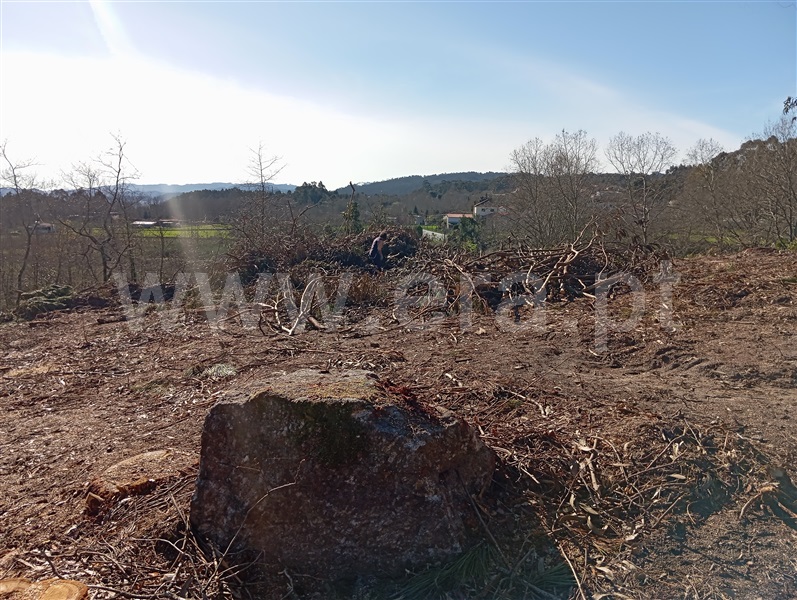 Terreno  Fafe, Vinhós - 1463710 - 6