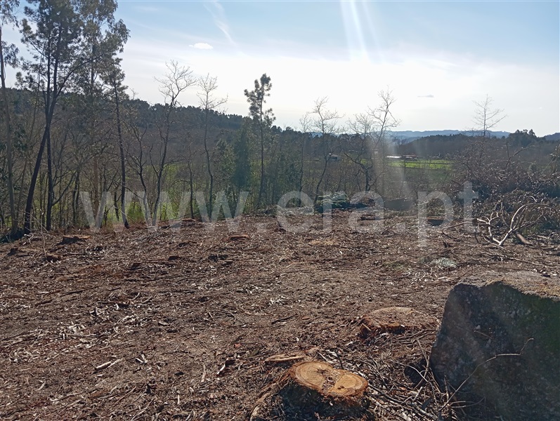 Terreno  Fafe, Vinhós - 1463710 - 7