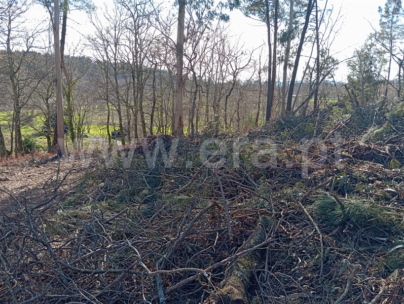 Terreno  Fafe, Vinhós - 1463710 - 11