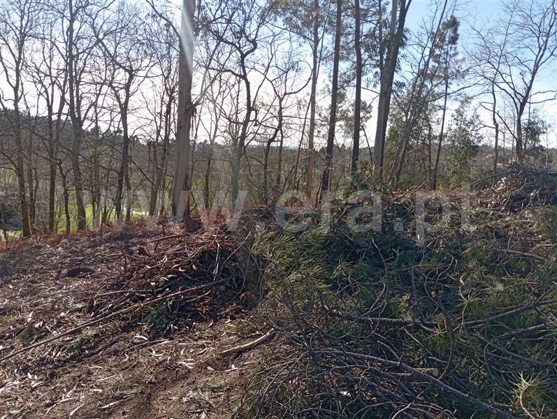 Terreno  Fafe, Vinhós - 1463710 - 12