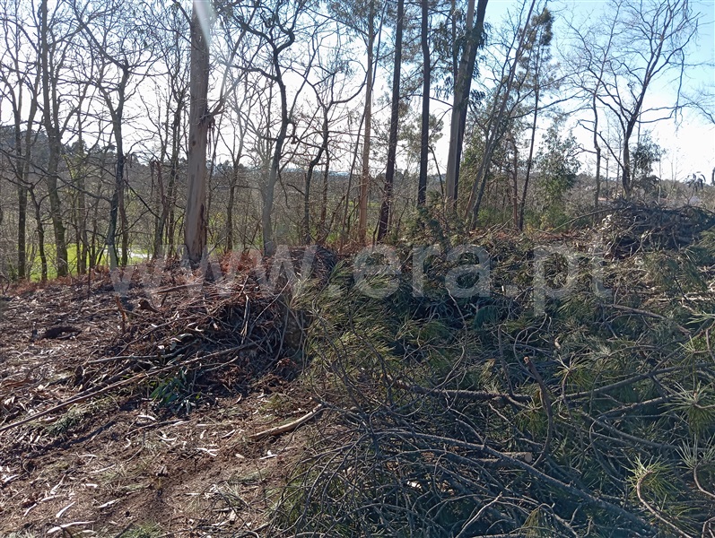Terreno  Fafe, Vinhós - 1463710 - 13