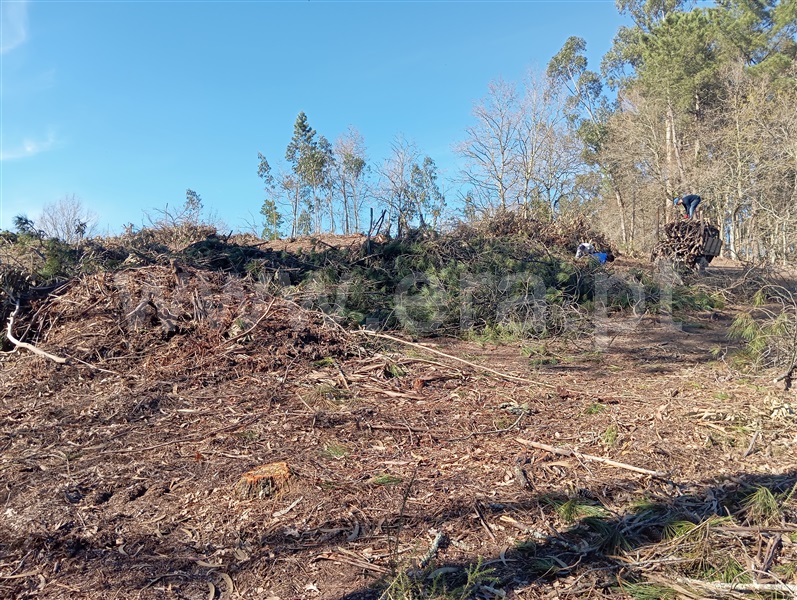 Terreno  Fafe, Vinhós - 1463710 - 15
