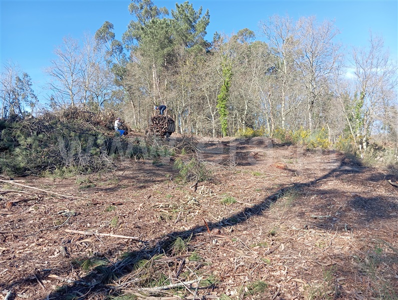 Terreno  Fafe, Vinhós - 1463710 - 16