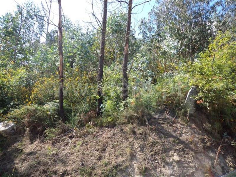 Terreno  Fafe, Vinhós - 468191 - 1