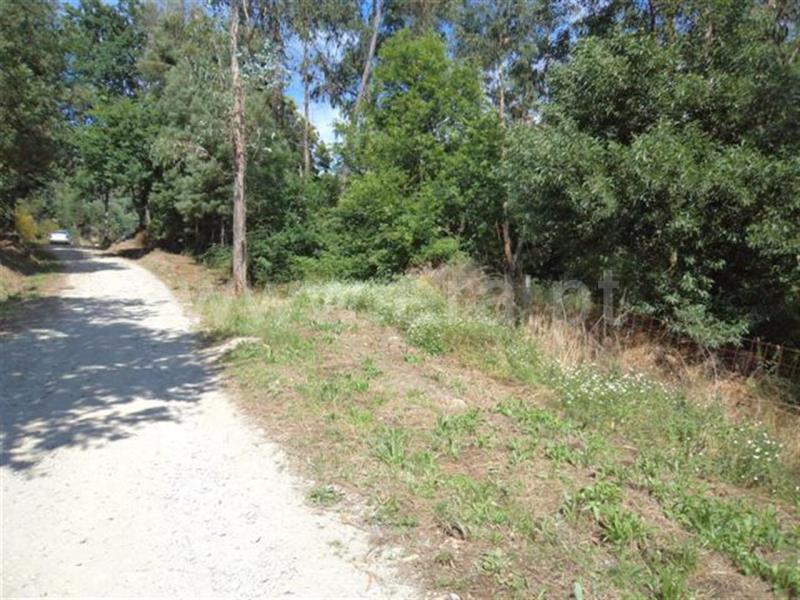 Terreno  Fafe, Vinhós - 468191 - 4