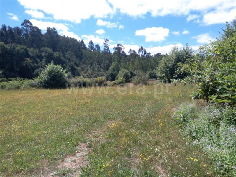 Terreno  Fafe, Vinhós - 840153 - 10