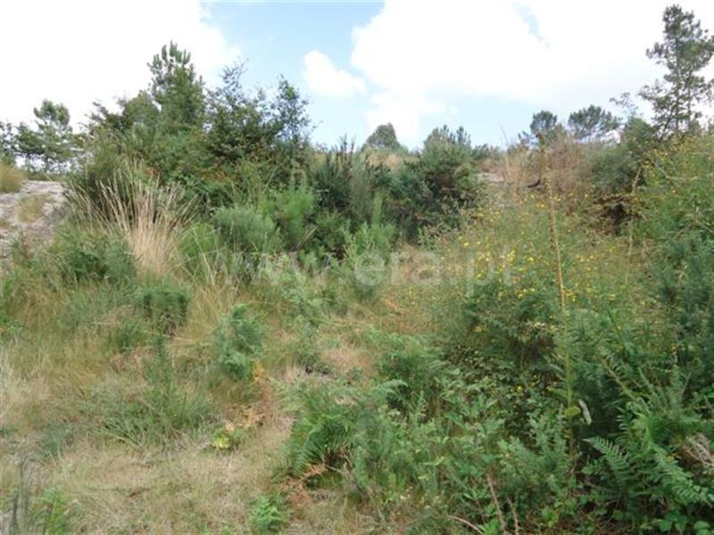 Terreno  Fafe, - 527552 - 2
