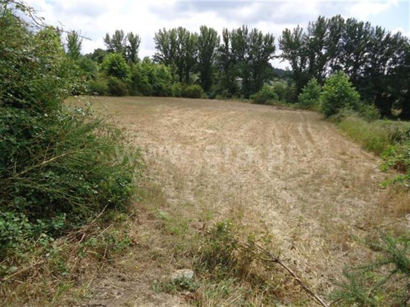 Terreno / Fafe