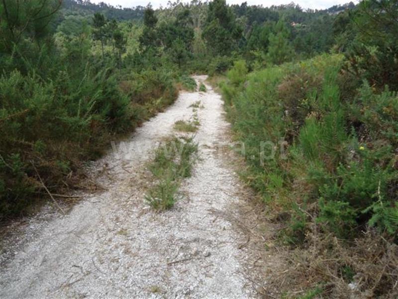 Terreno  Fafe, - 527552 - 3