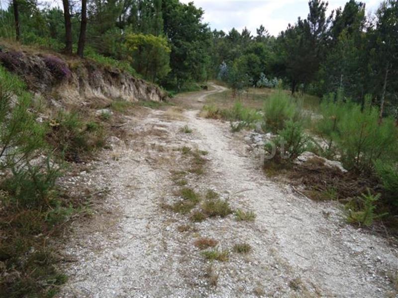 Terreno  Fafe, - 527552 - 4