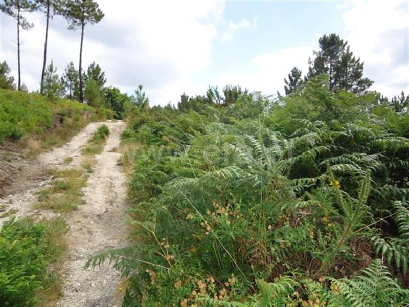 Terreno  Fafe, - 527552 - 6