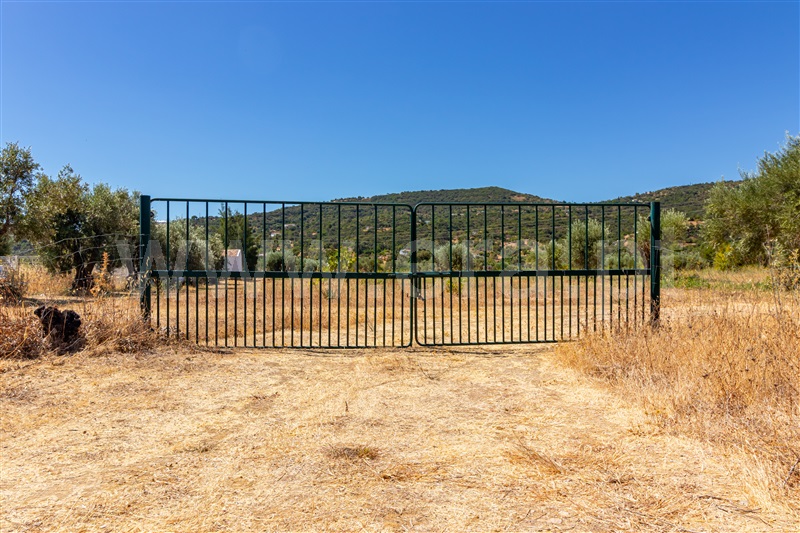 Terreno / Faro, Conceição e Estoi