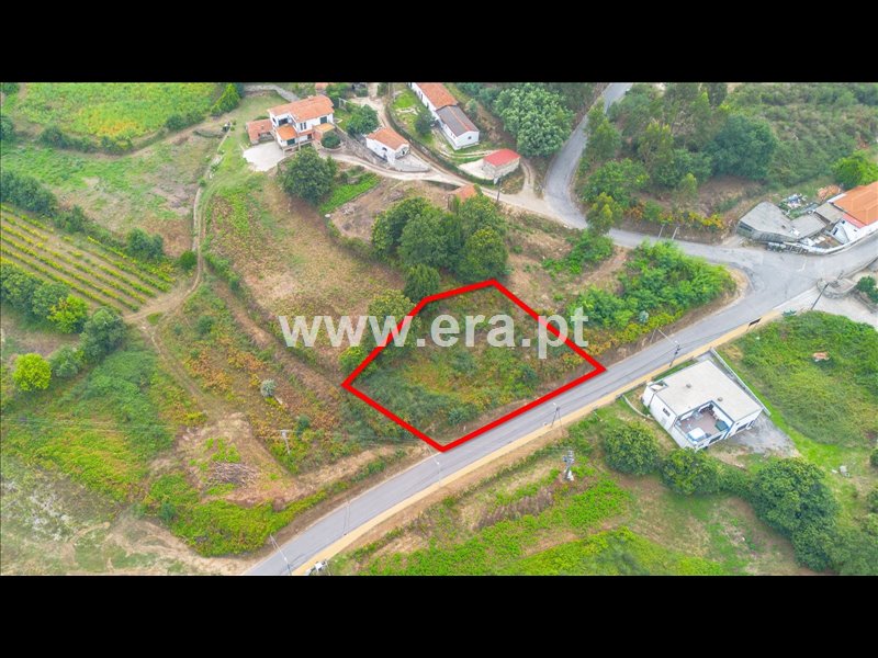 Terreno / Felgueiras, Revinhade