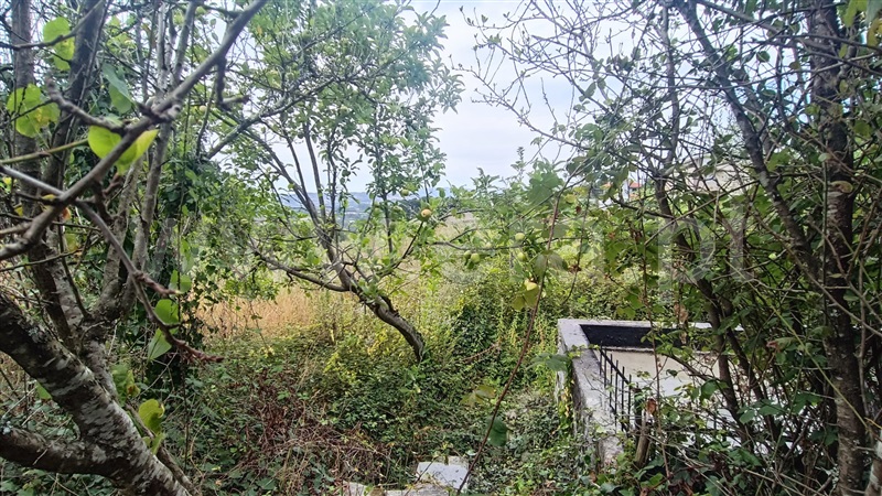 Terreno para Construção  Felgueiras, Vila Verde e Santão - 1424642 - 5