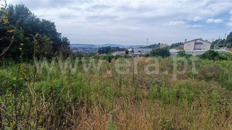 Terreno / Felgueiras, Vila Verde e Santão