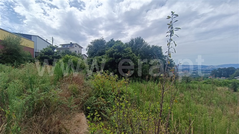 Terreno para Construção  Felgueiras, Vila Verde e Santão - 1424642 - 7