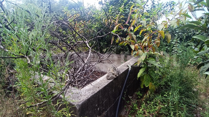 Terreno para Construção  Felgueiras, Vila Verde e Santão - 1424642 - 8