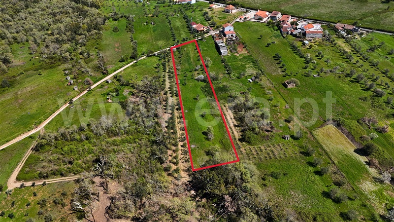 Terreno / Ferreira do Zêzere, Areias e Pias