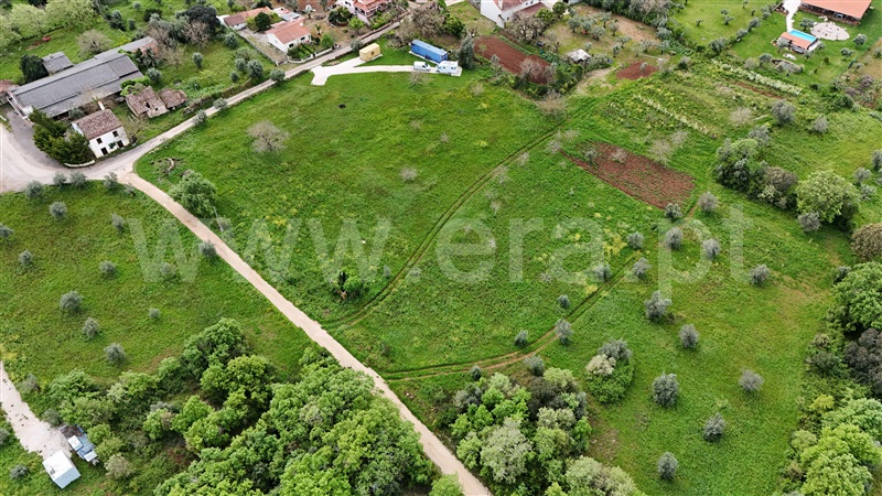Terreno para Construção  Ferreira do Zêzere, Chãos - 1397703 - 6