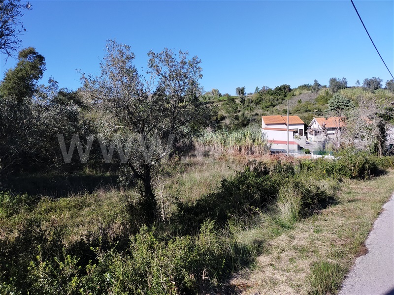 Terreno / Figueira da Foz, Alhadas