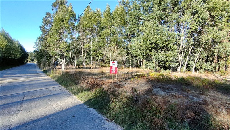 Terreno / Figueira da Foz, Alhadas
