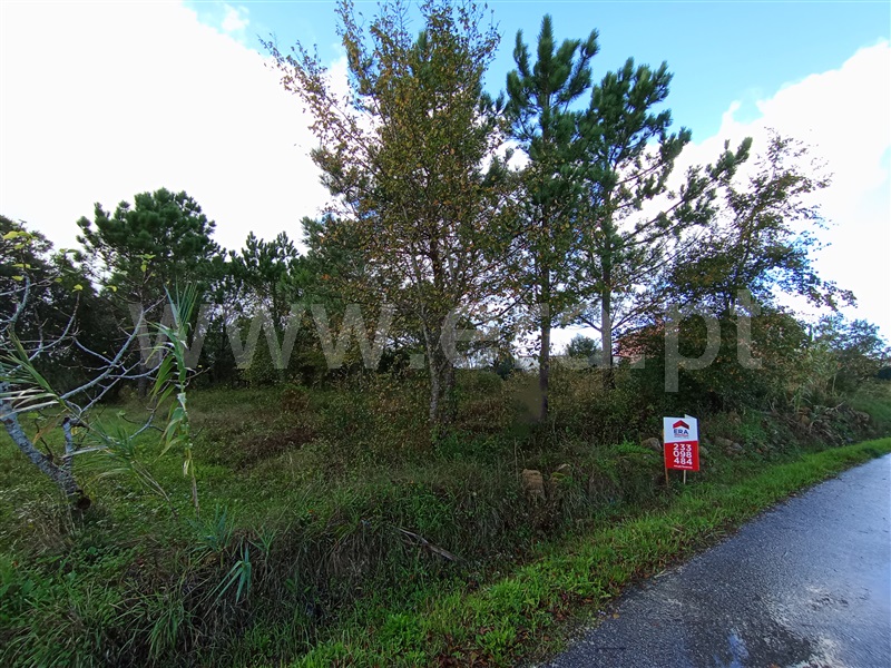 Terreno  Figueira da Foz, Alhadas - 1364498 - 6