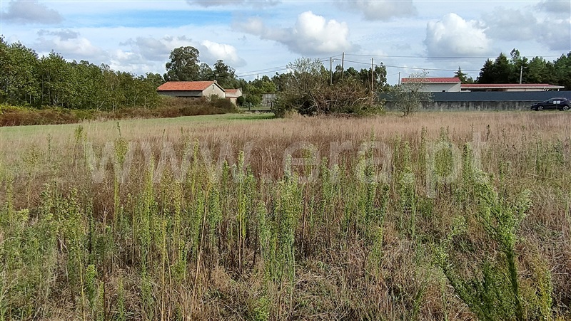 Terreno  Figueira da Foz, Ferreira-a-Nova - 1356082 - 1