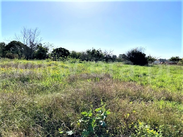 Terreno  Figueira da Foz, Lavos - 1130271 - 2