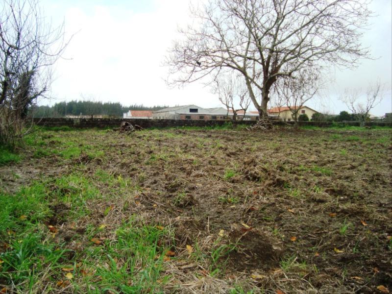 Terreno / Figueira da Foz, Lavos